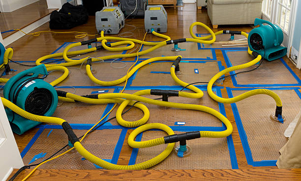 Professional Burst Pipe Water Damage technician working in Centerport, PA